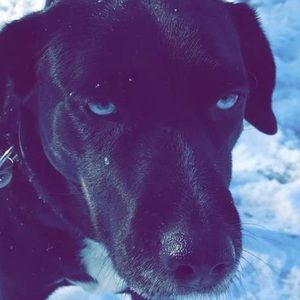 Meet your Posher, Jack